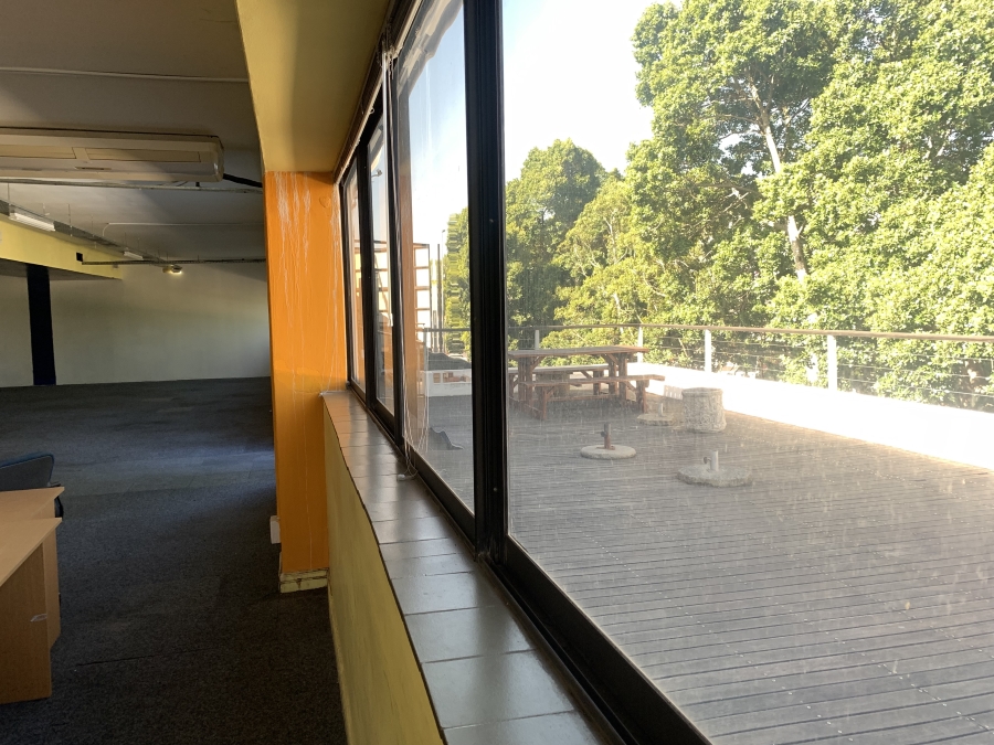 To Let commercial Property for Rent in Rondebosch Western Cape